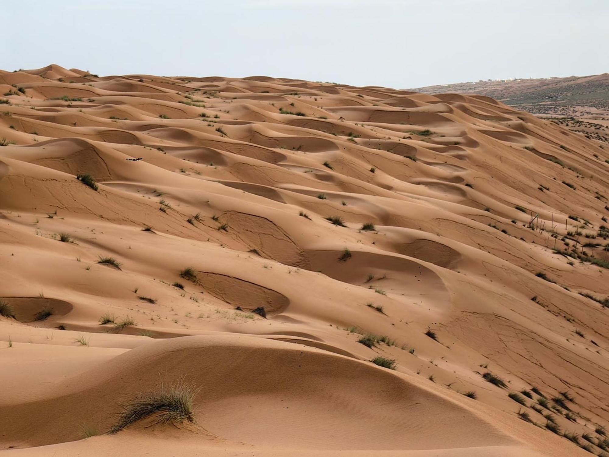 Desert Rose Camp Bidiya Exterior foto